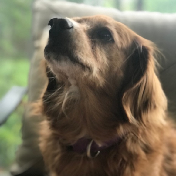 Meet your Posher, Jane - Picture 1 of 1